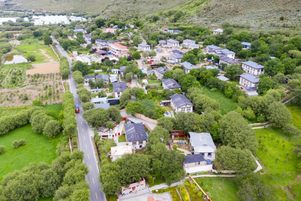 1651717185993292.jpg 04.jpg