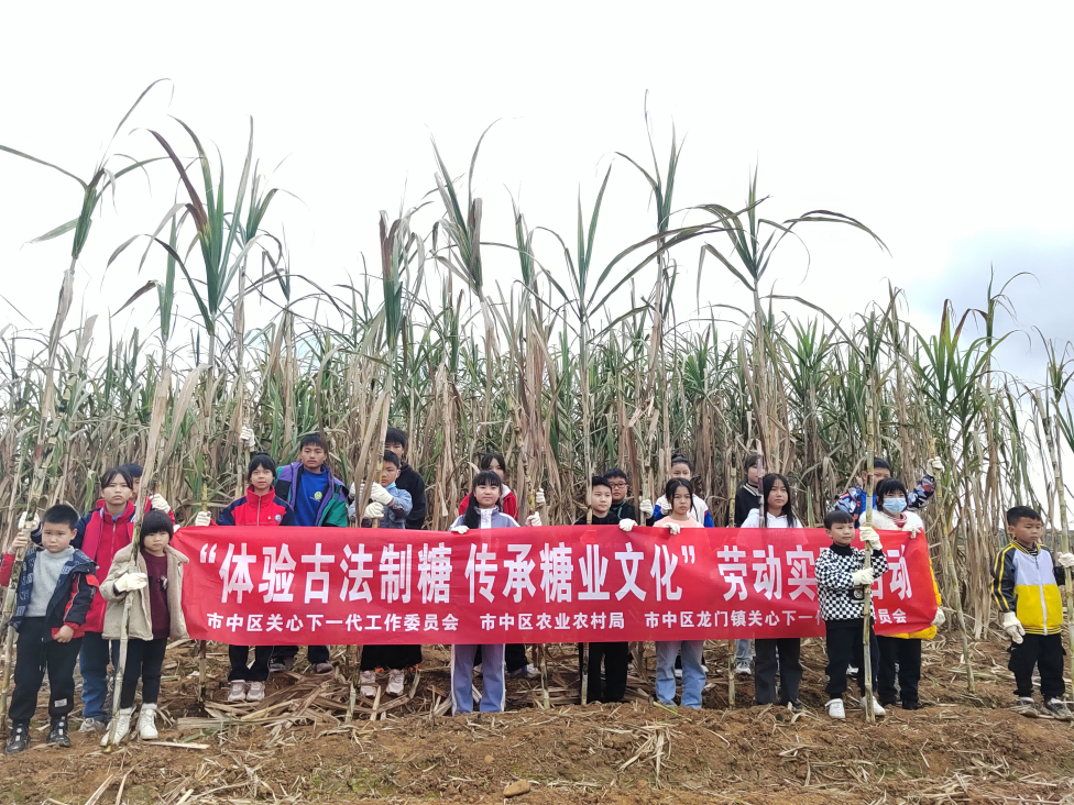 图片16(1).png