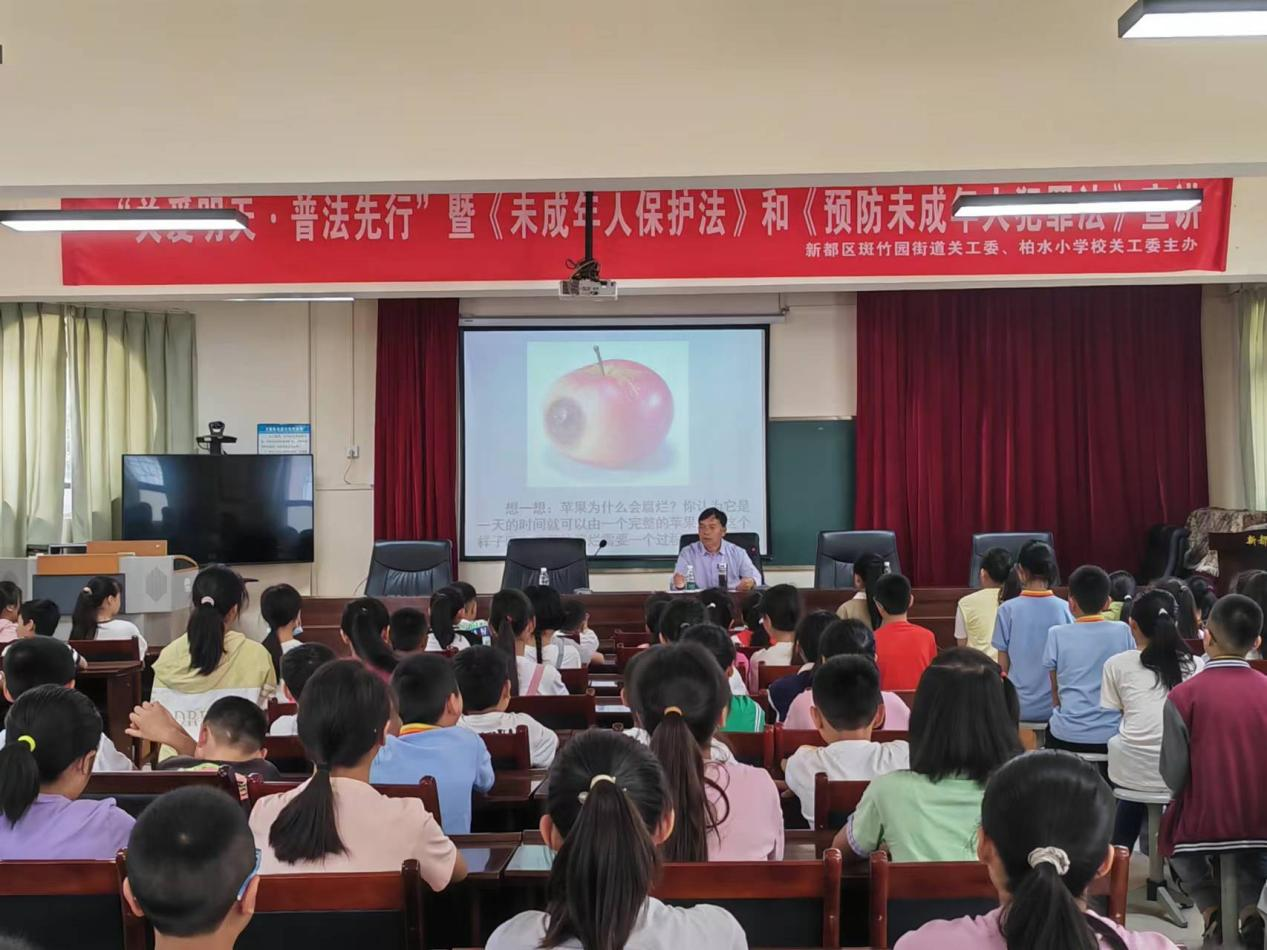 图片31.png
