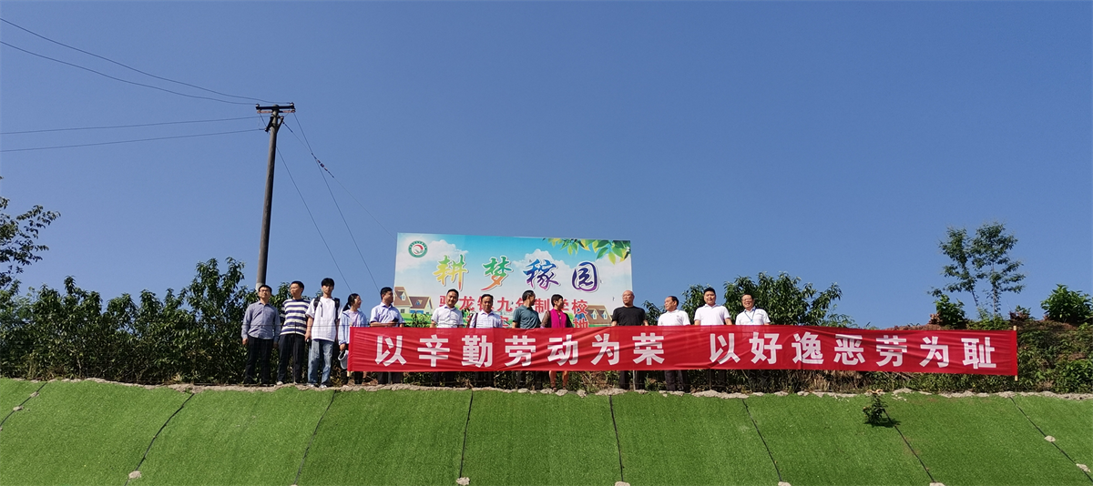 图片23.png