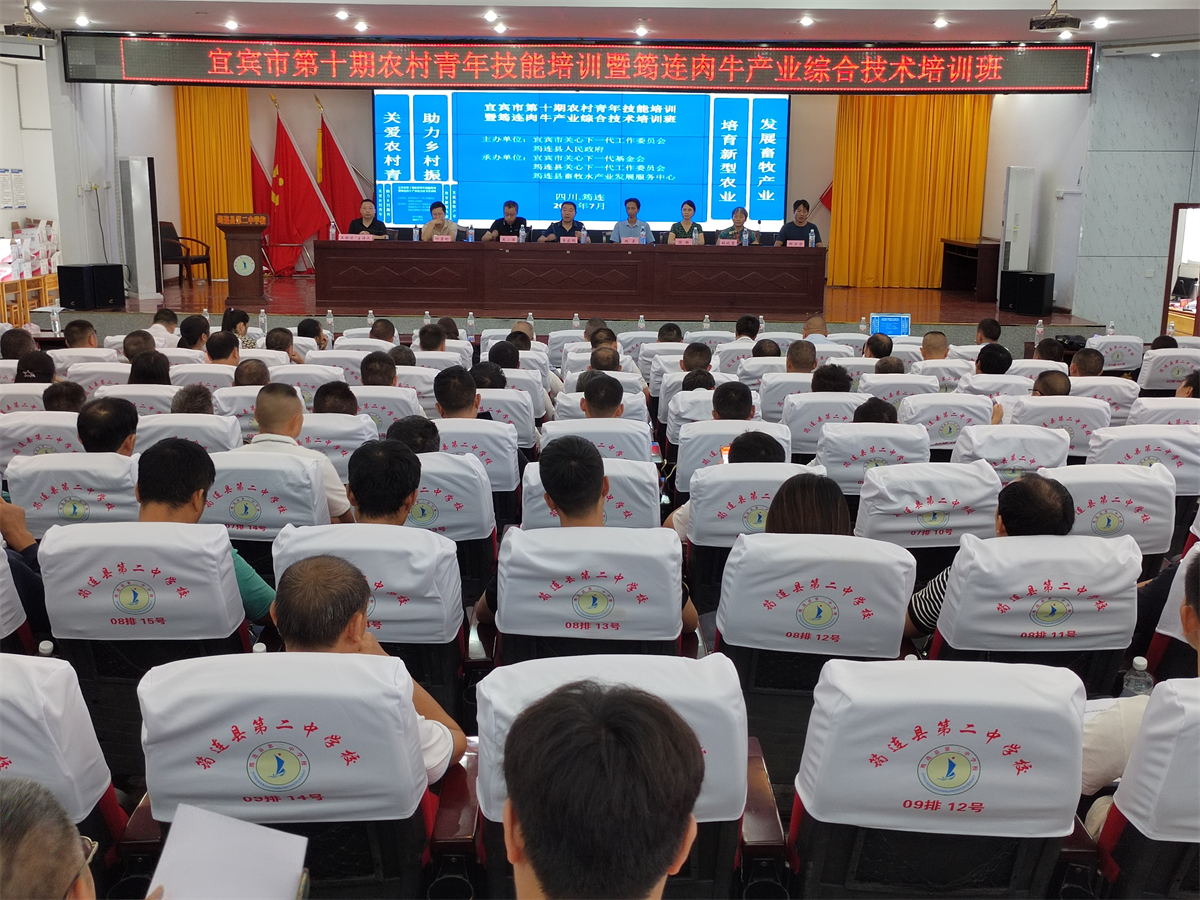 图片17.png