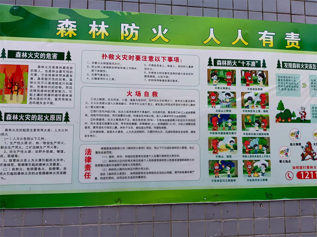 图片6.png