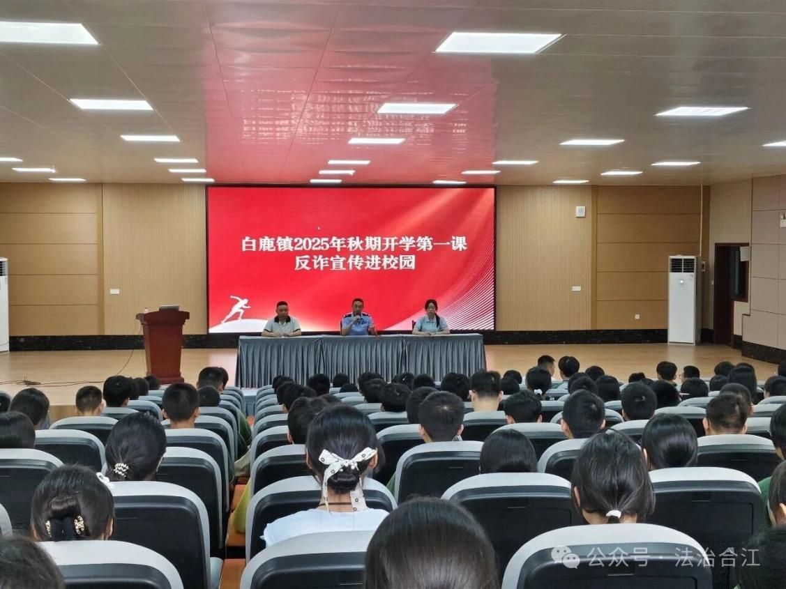 图片 5.png