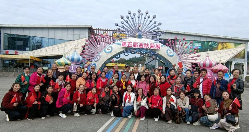 1763526463860539.png 图片 4.png